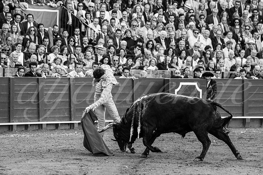 20250507 sevilla 028 fd
