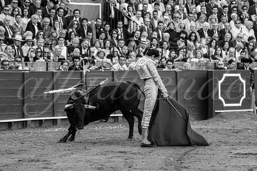20250507 sevilla 027 fd