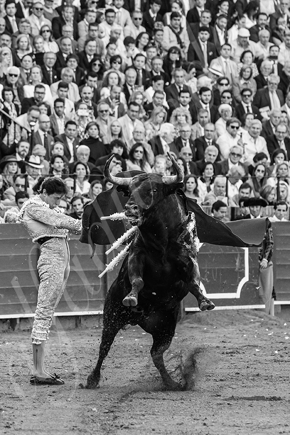 20250507 sevilla 026 fd