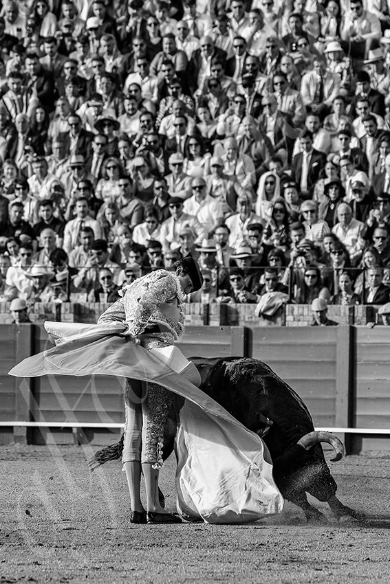 20250507 sevilla 025 fd