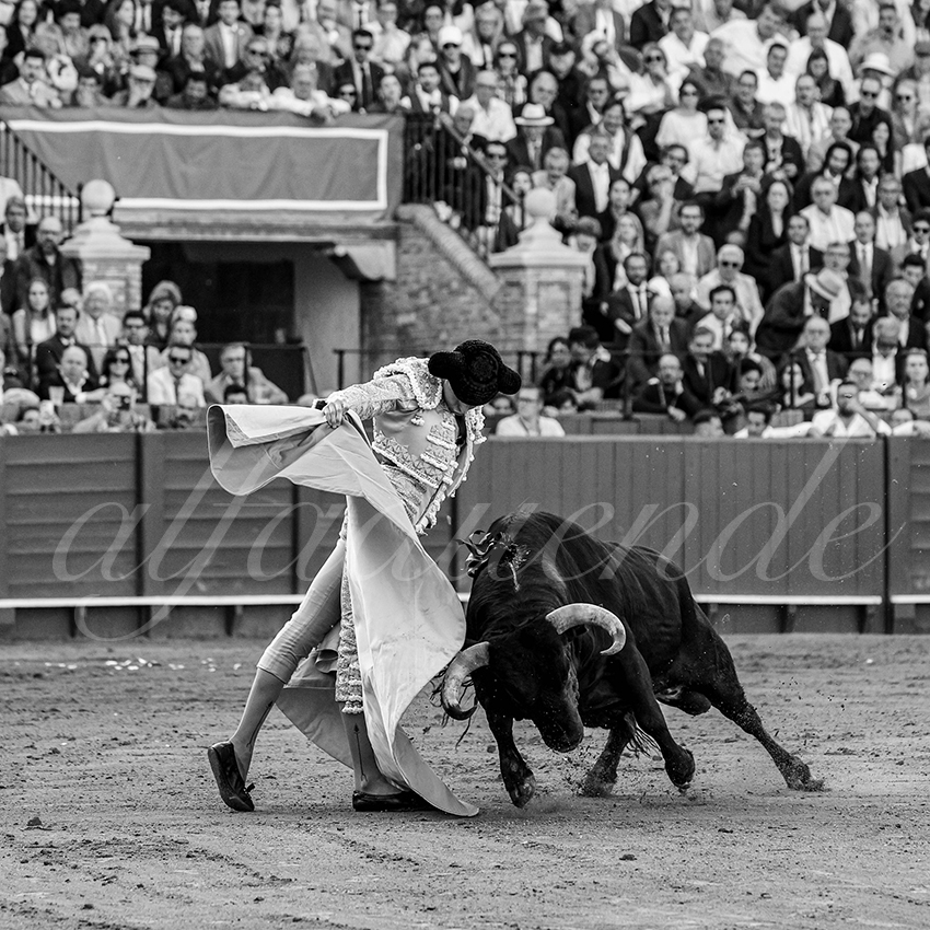 20250507 sevilla 024 fd