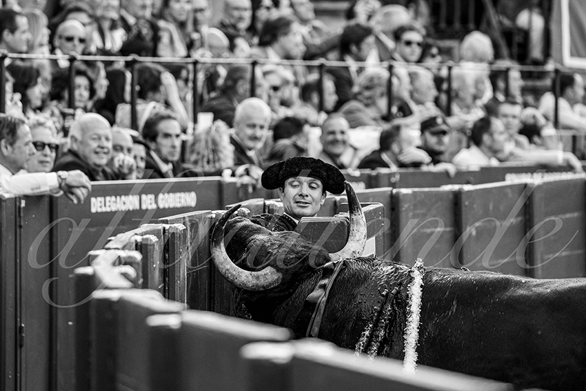 20250507 sevilla 023 fd