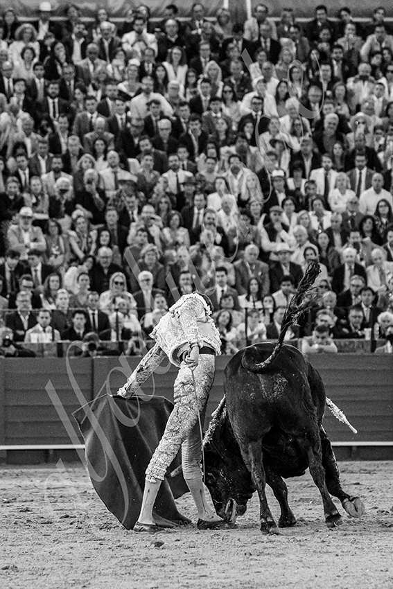 20250507 sevilla 039 fd