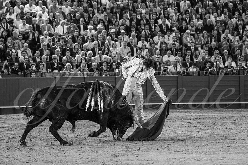 20250507 sevilla 038 fd