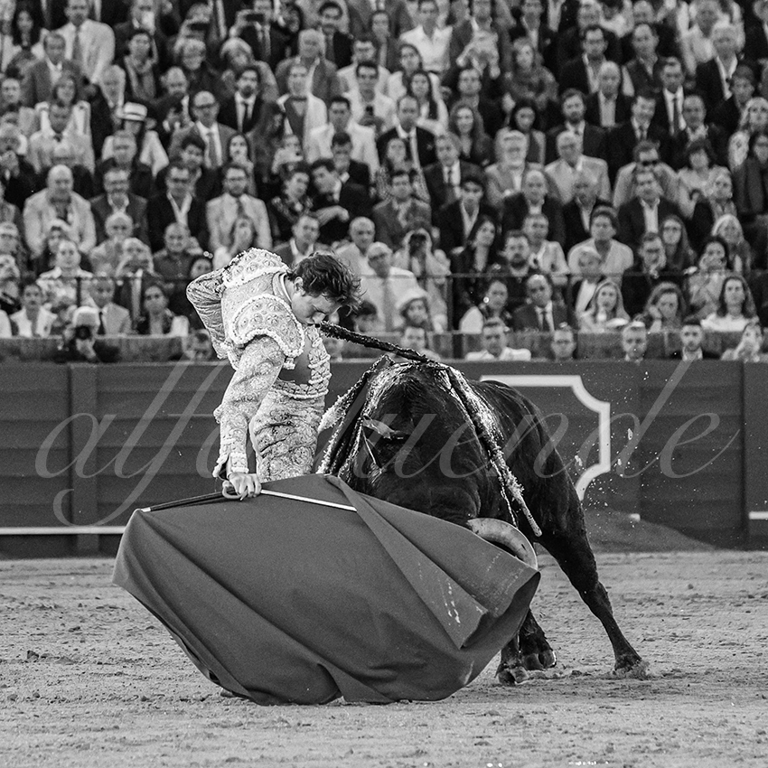 20250507 sevilla 037 fd