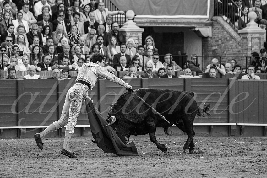 20250507 sevilla 035 fd