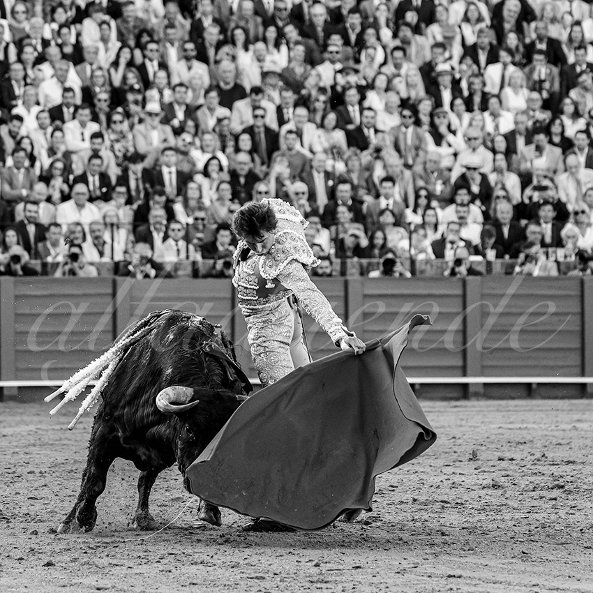 20250507 sevilla 034 fd