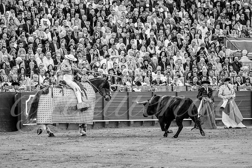 20250507 sevilla cuadrillas 019 copie