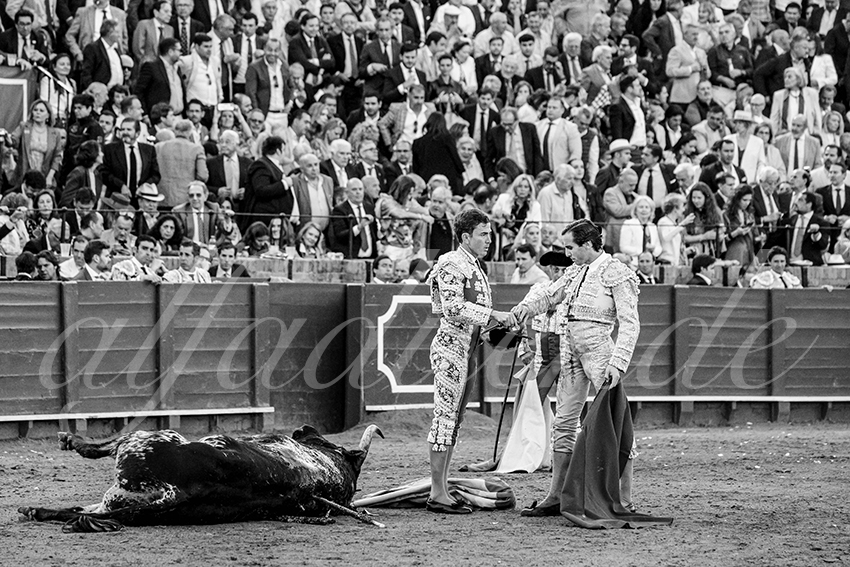 20250507 sevilla cuadrillas 018 copie