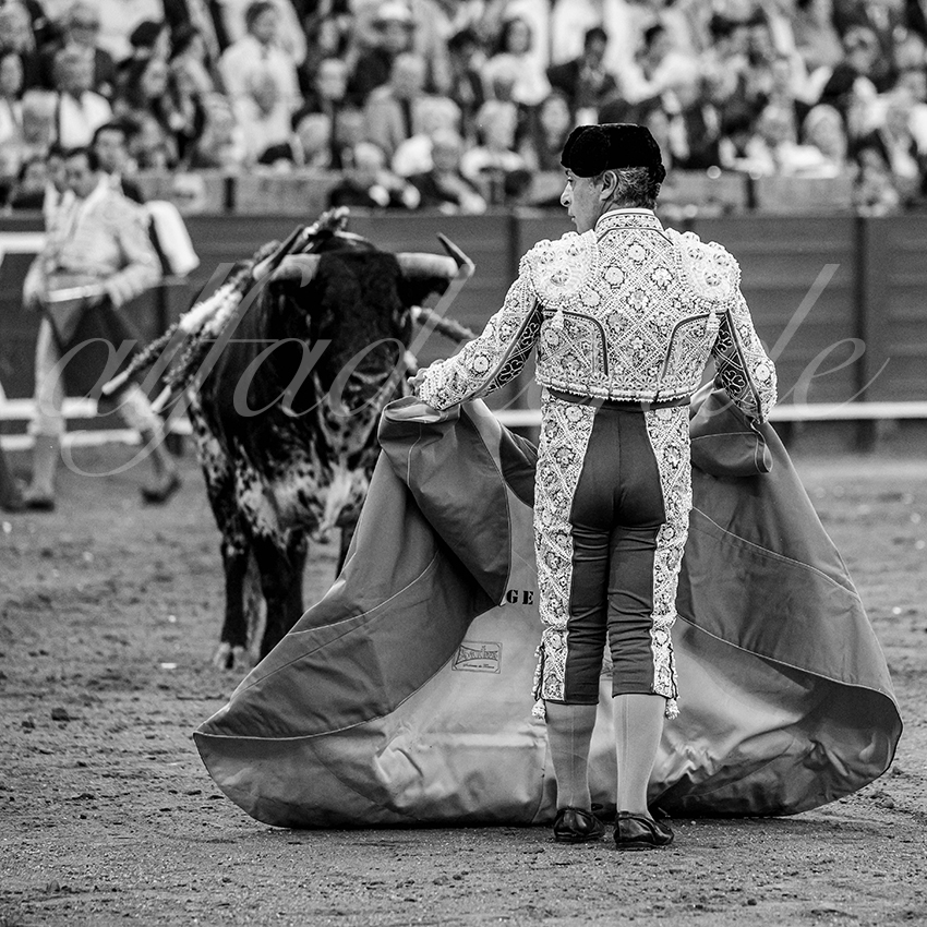 20250507 sevilla cuadrillas 017 copie