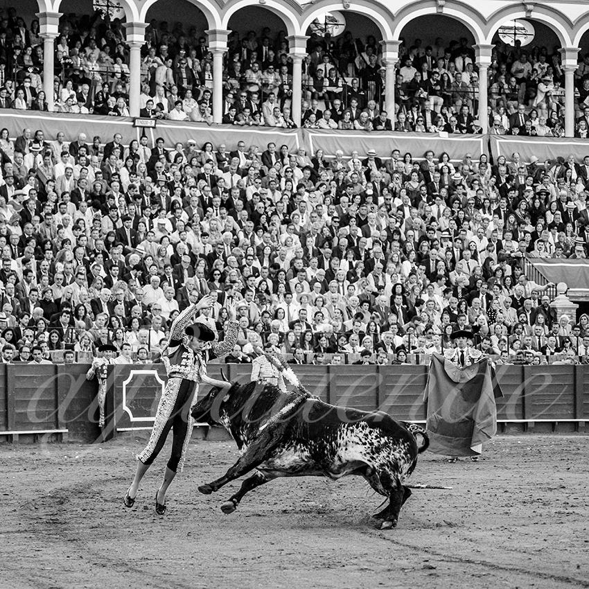 20250507 sevilla cuadrillas 016 copie