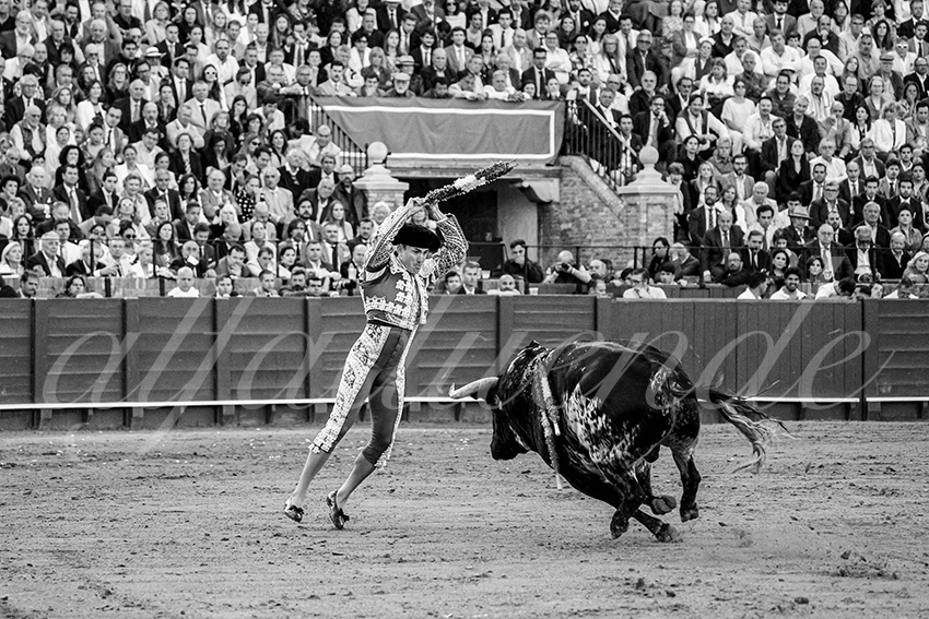 20250507 sevilla cuadrillas 015 copie