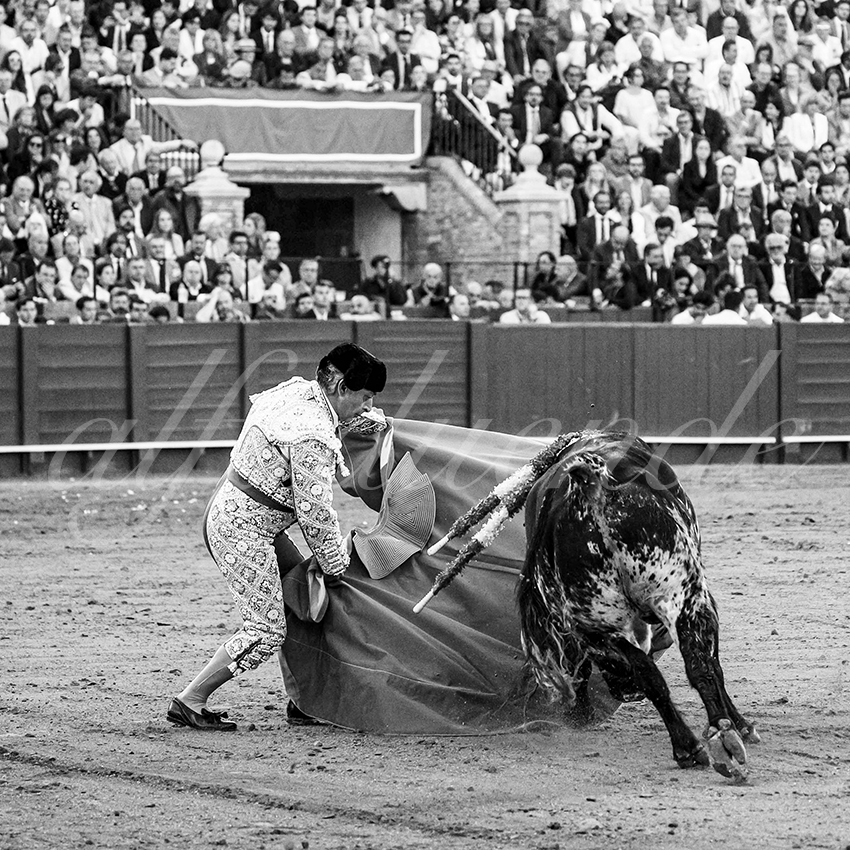 20250507 sevilla cuadrillas 014 copie