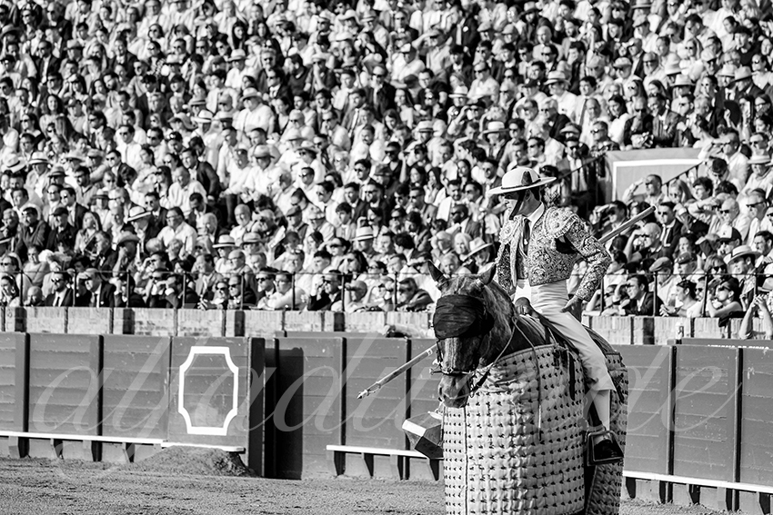 20250507 sevilla cuadrillas 009 copie