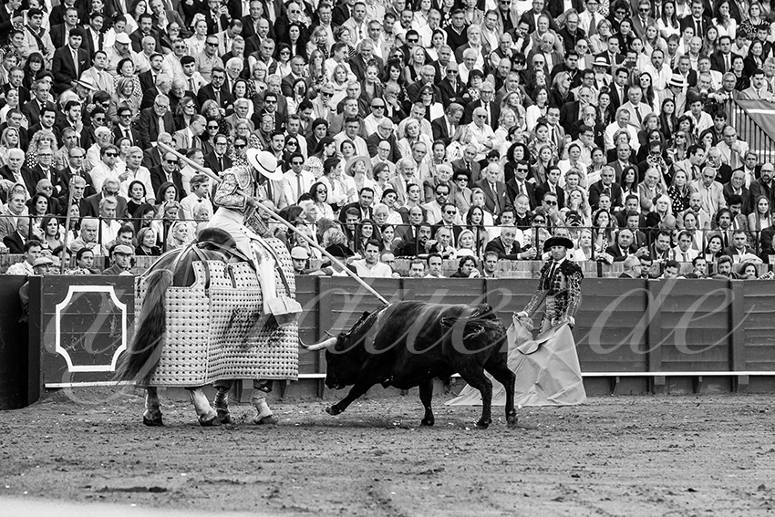 20250507 sevilla cuadrillas 007 copie