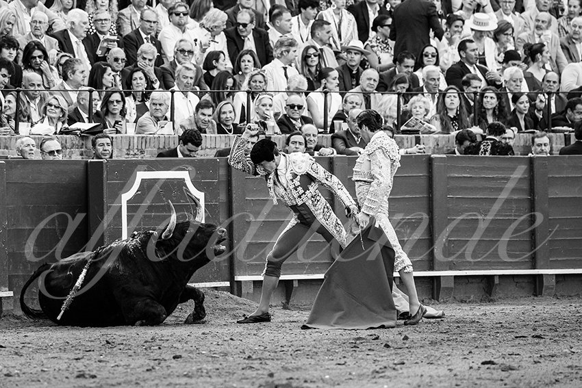 20250507 sevilla cuadrillas 006 copie