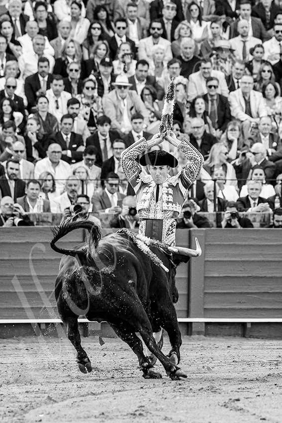 20250507 sevilla cuadrillas 005 copie