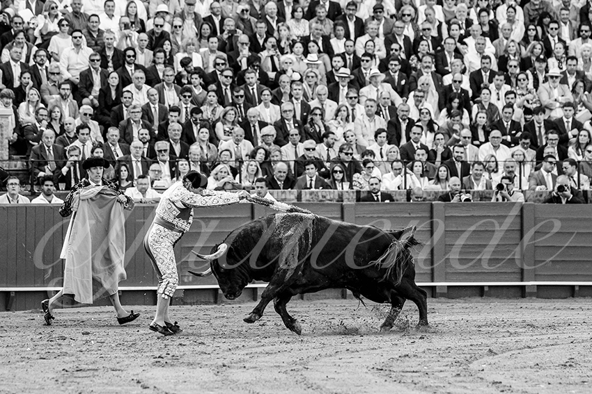 20250507 sevilla cuadrillas 004 copie