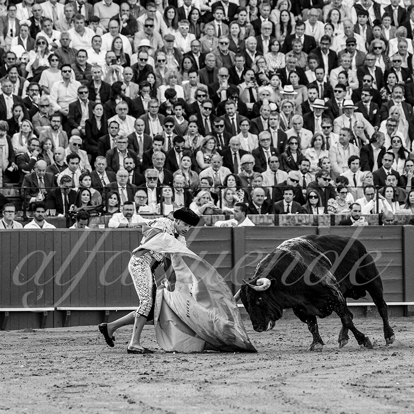 20250507 sevilla cuadrillas 003 copie