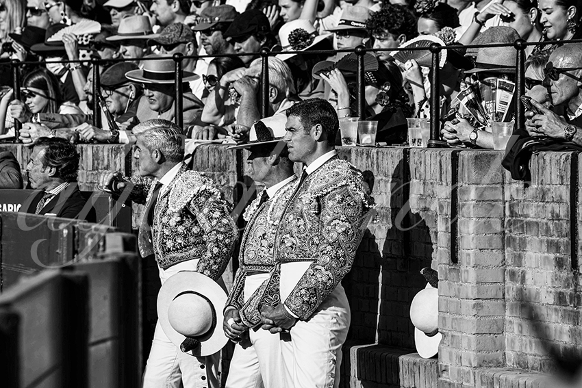 20250507 sevilla cuadrillas 002 copie