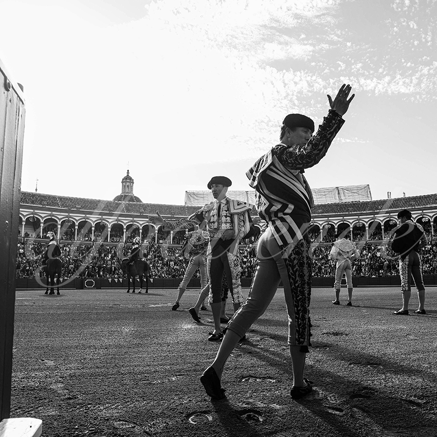 20250507 sevilla cuadrillas 001 copie