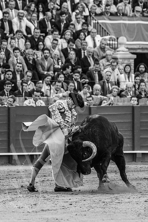 20250508 sevilla 011 fd