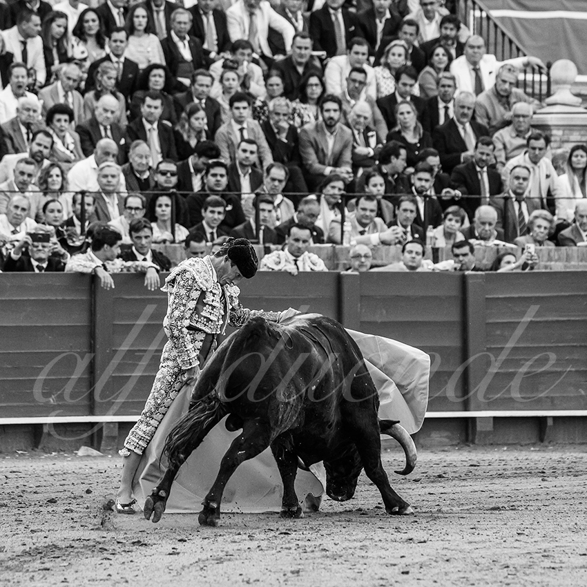 20250508 sevilla 010 fd