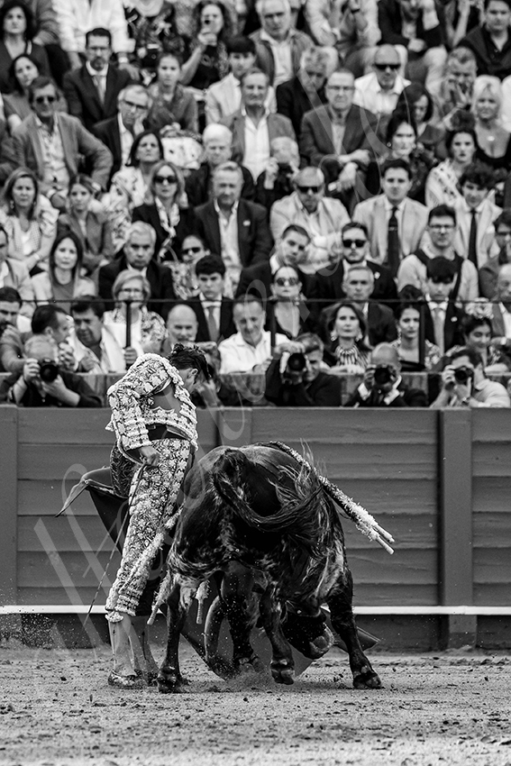 20250508 sevilla 009 fd