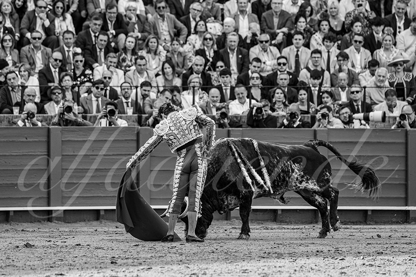 20250508 sevilla 008 fd