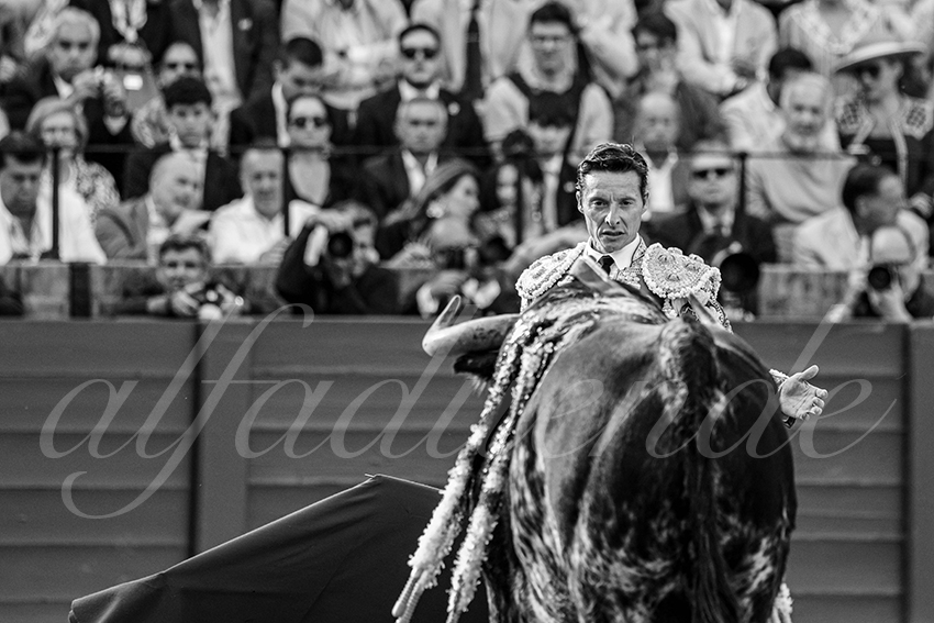 20250508 sevilla 007 fd