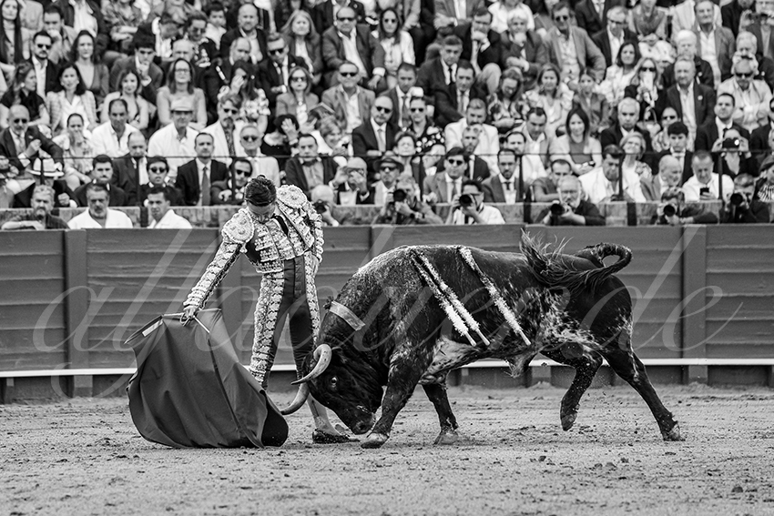 20250508 sevilla 006 fd