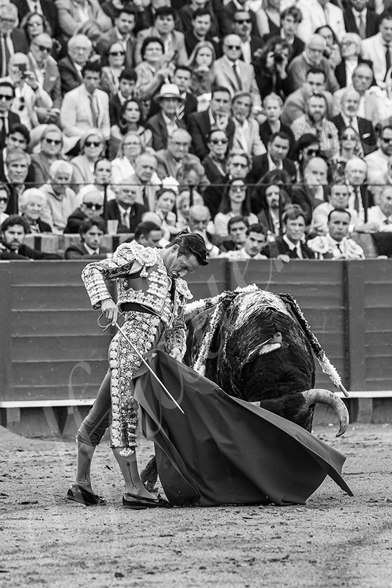 20250508 sevilla 005 fd