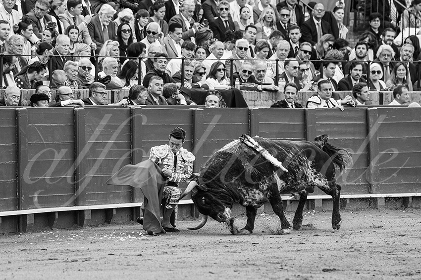 20250508 sevilla 004 fd