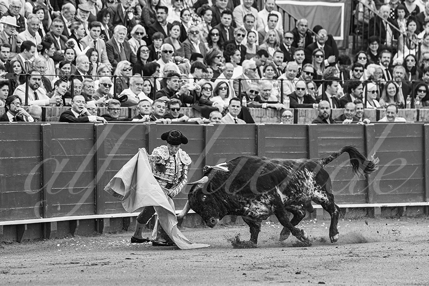 20250508 sevilla 003 fd