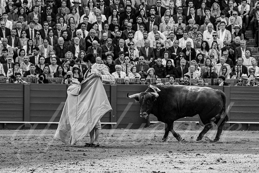 20250508 sevilla 022 fd