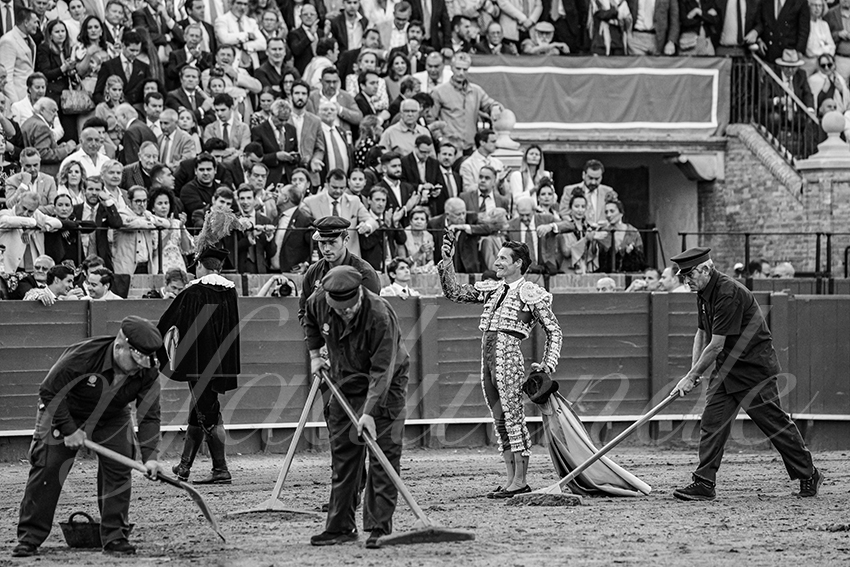 20250508 sevilla 021 fd