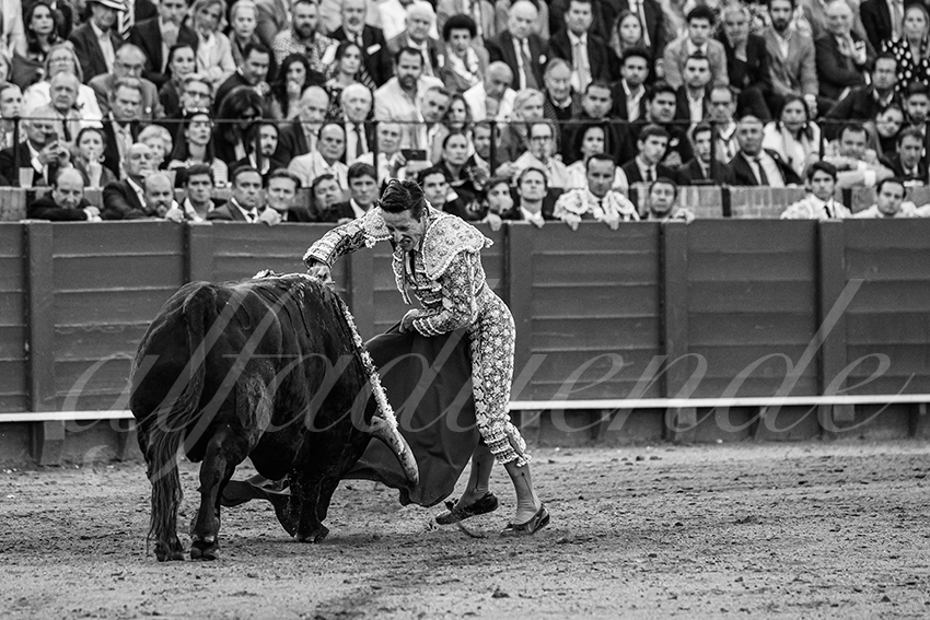 20250508 sevilla 020 fd