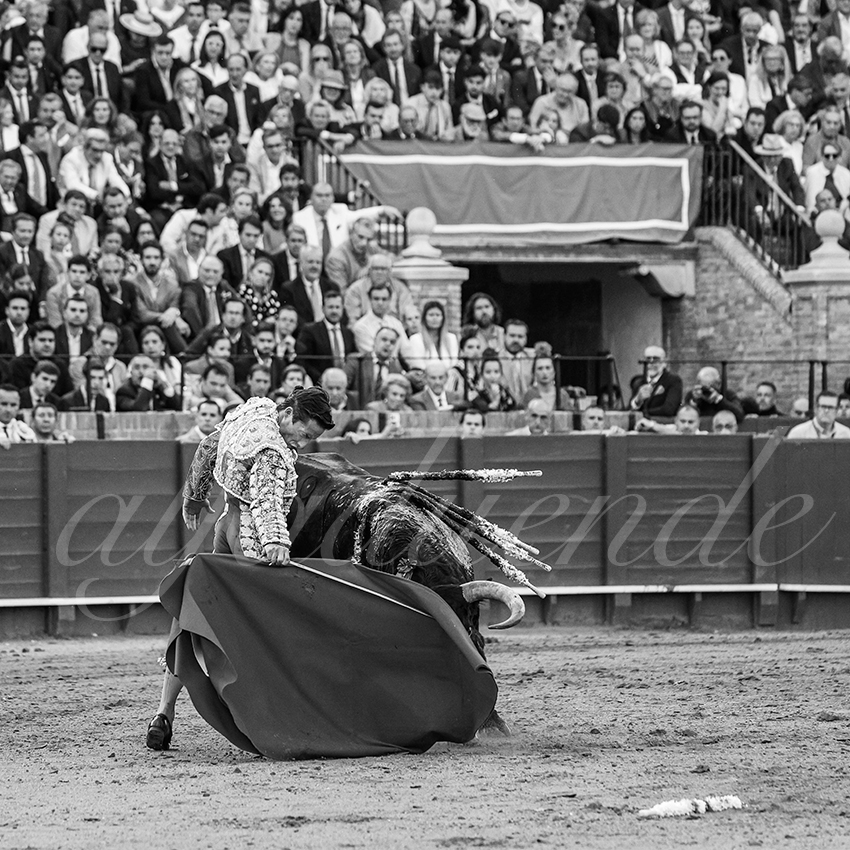 20250508 sevilla 019 fd