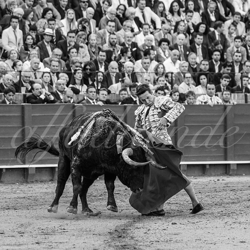 20250508 sevilla 018 fd