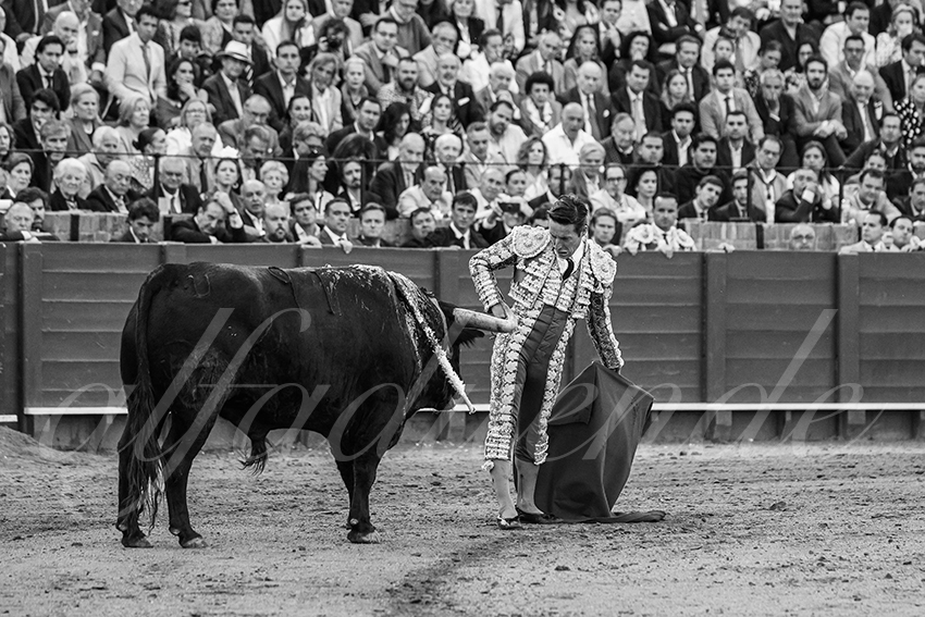 20250508 sevilla 017 fd