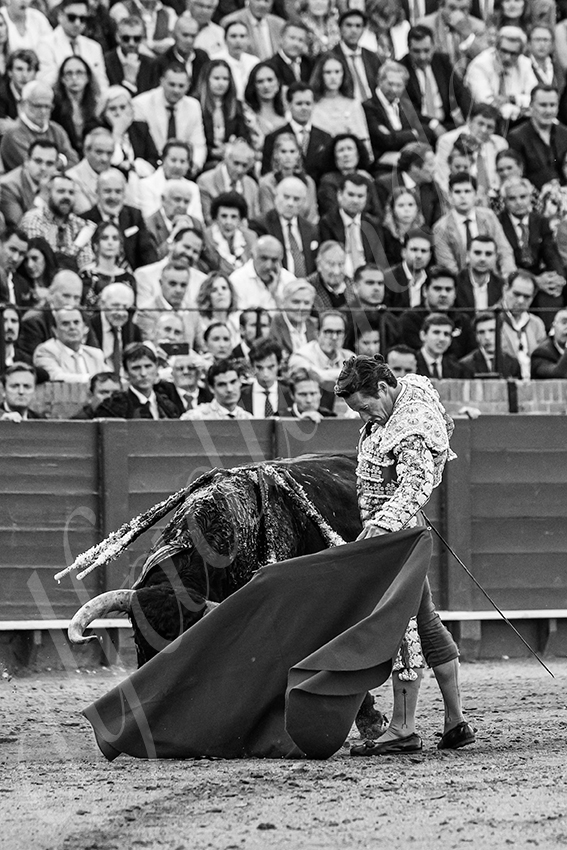 20250508 sevilla 016 fd