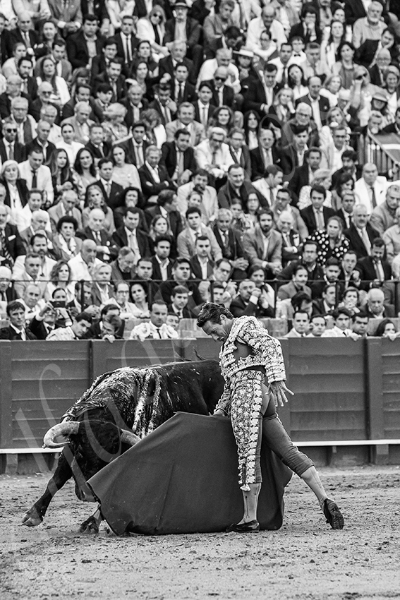 20250508 sevilla 015 fd