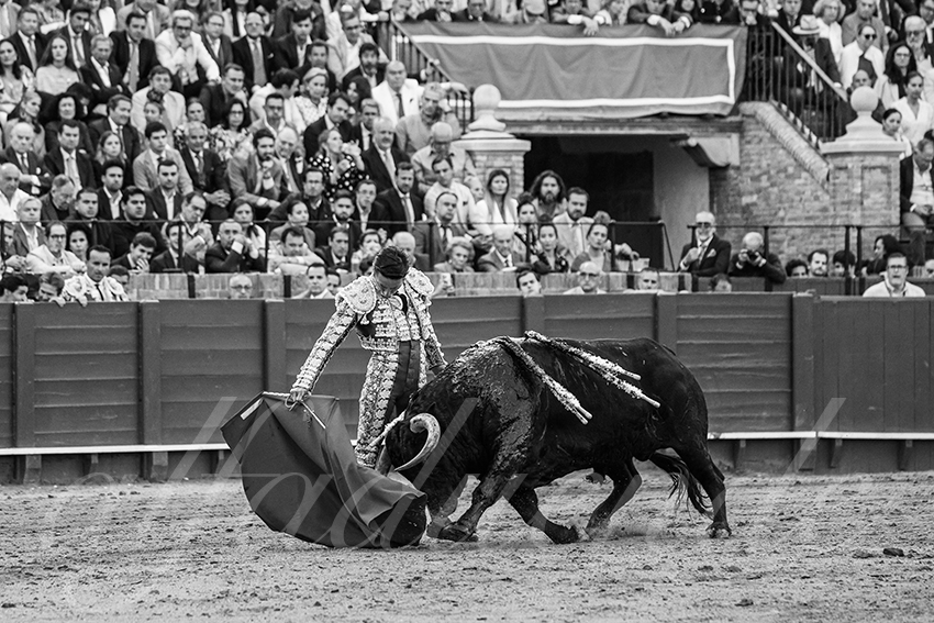 20250508 sevilla 014 fd