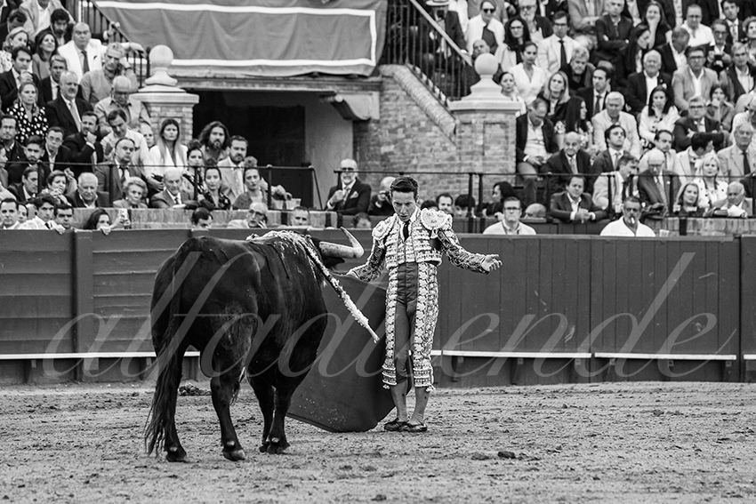 20250508 sevilla 013 fd