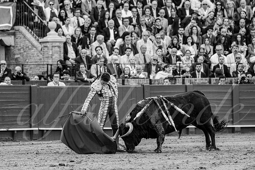 20250508 sevilla 012 fd