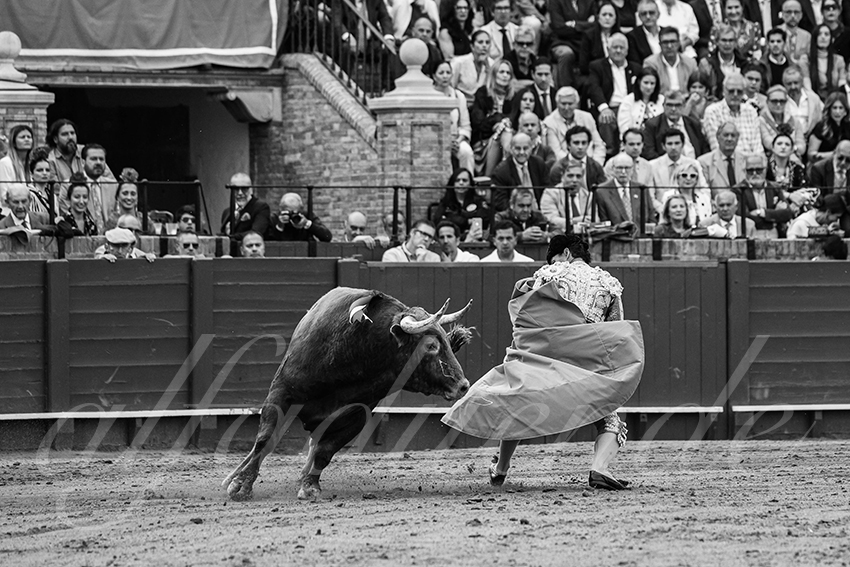 20250508 sevilla 032 fd