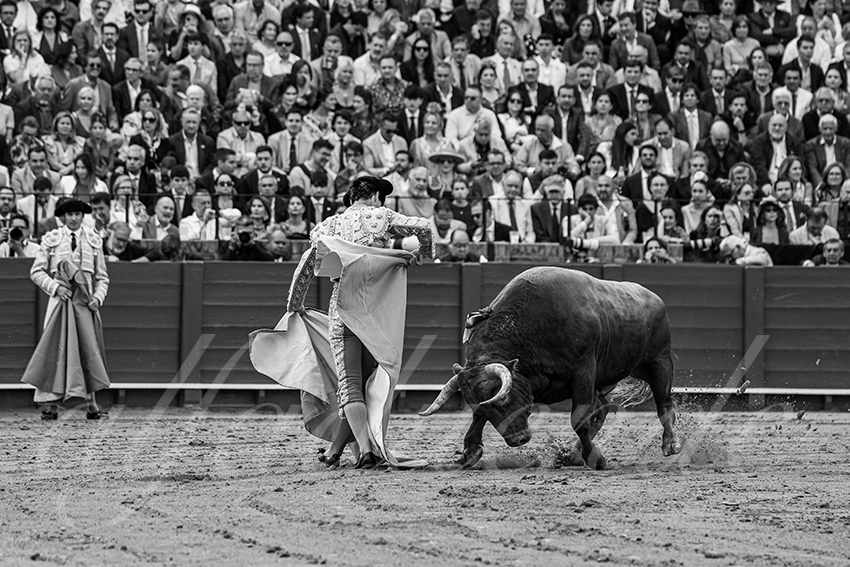 20250508 sevilla 031 fd