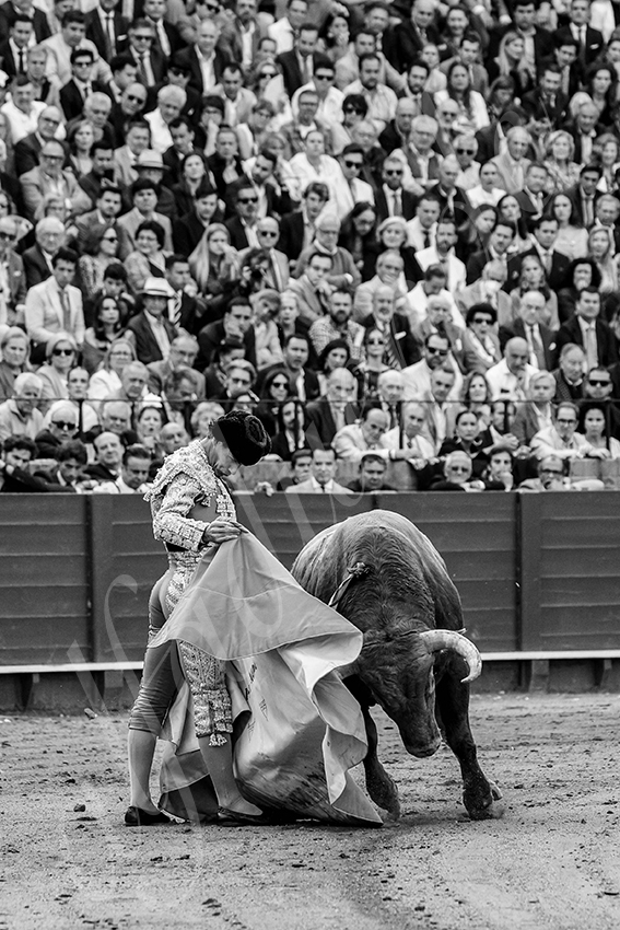 20250508 sevilla 030 fd