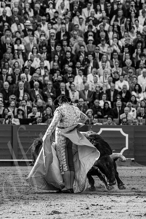 20250508 sevilla 029 fd