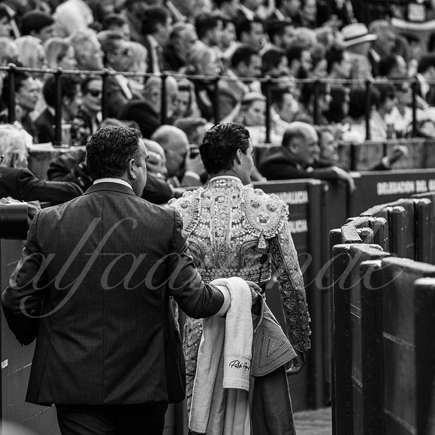 20250508 sevilla 028 fd